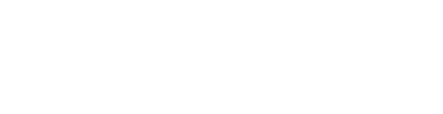 New Fortress Energy
 logo fulle size on a dark background (transparent PNG)