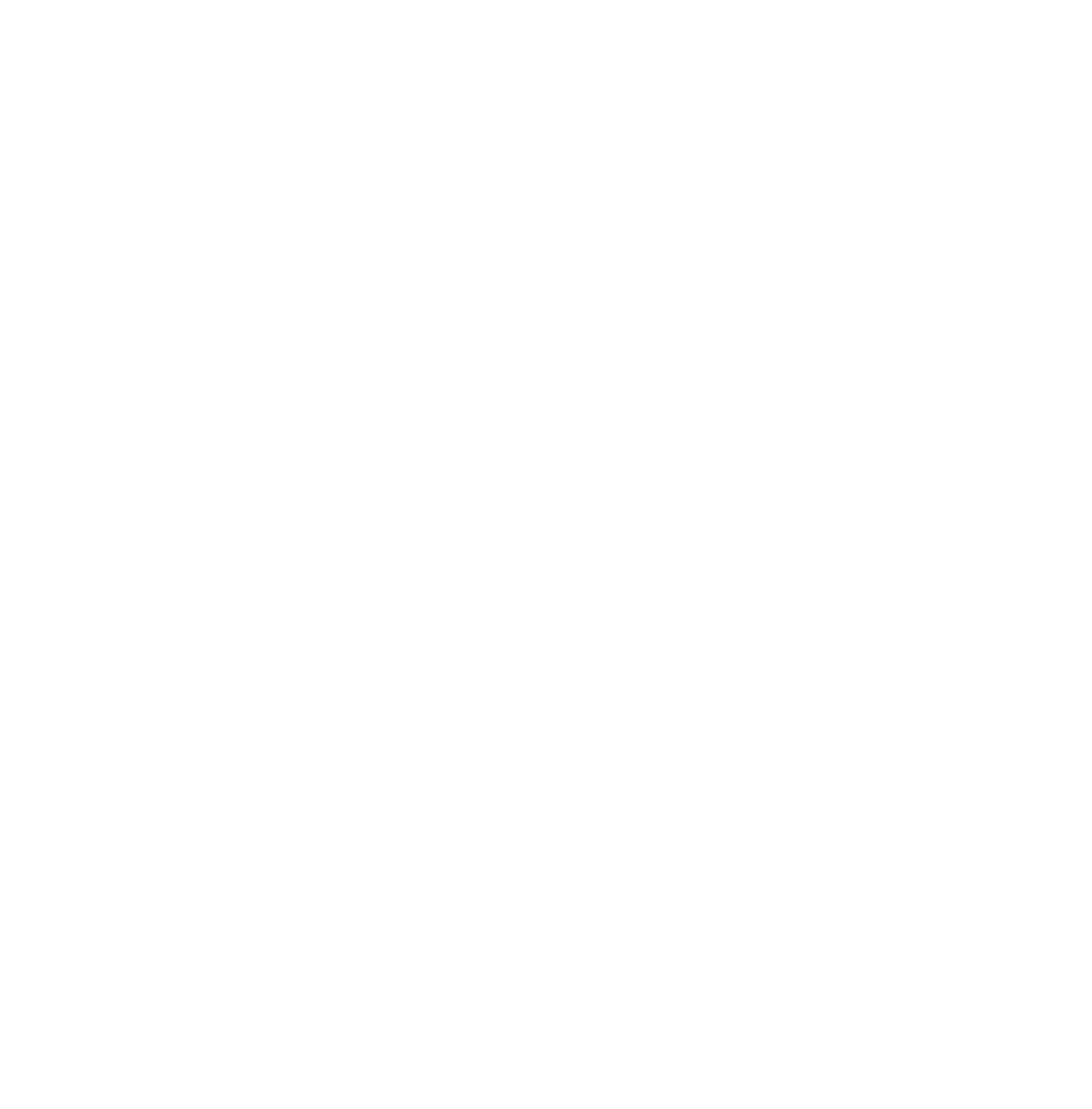 Nickel Industries Limited logo pour fonds sombres (PNG transparent)