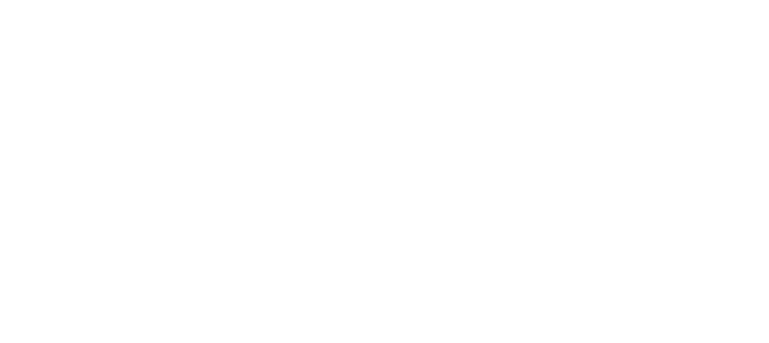 New Mountain Finance Corporation logo fulle size on a dark background (transparent PNG)