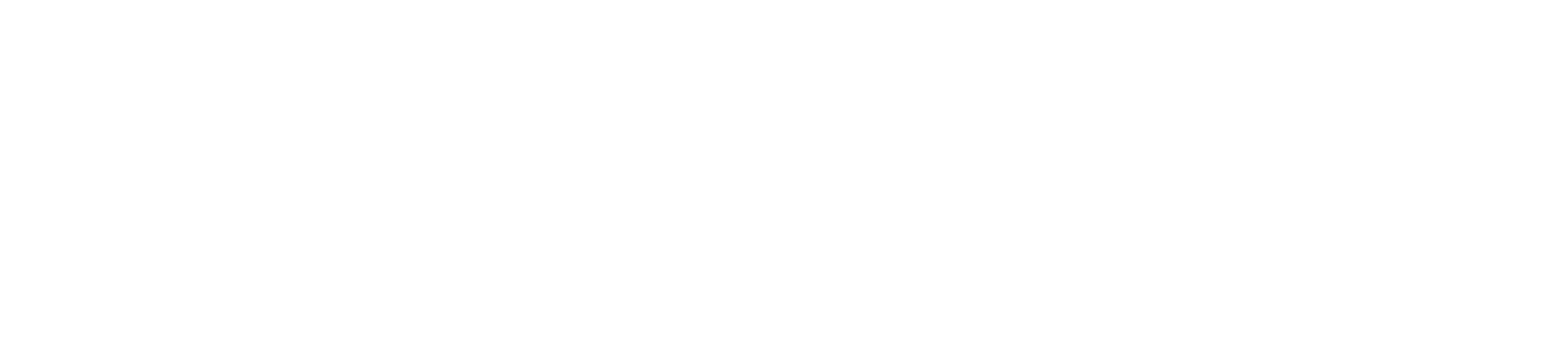 Northrop Grumman Logo groß für dunkle Hintergründe (transparentes PNG)