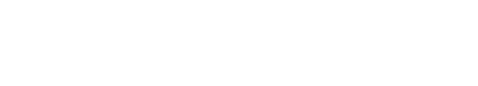 Novanta logo fulle size on a dark background (transparent PNG)