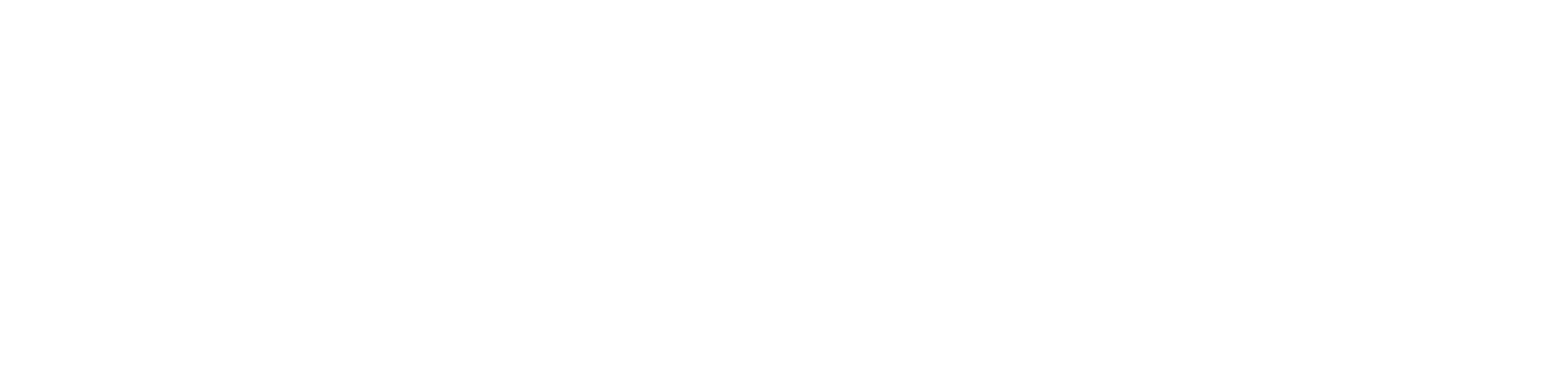 Neptune Insurance Holdings logo fulle size on a dark background (transparent PNG)