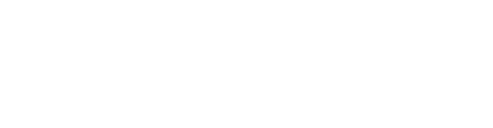 Norfolk Southern Logo groß für dunkle Hintergründe (transparentes PNG)