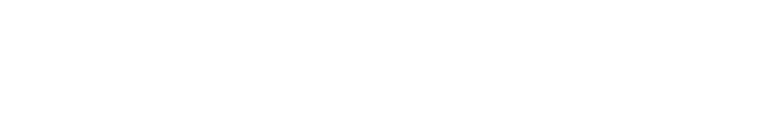 NAPCO Security Technologies Logo groß für dunkle Hintergründe (transparentes PNG)