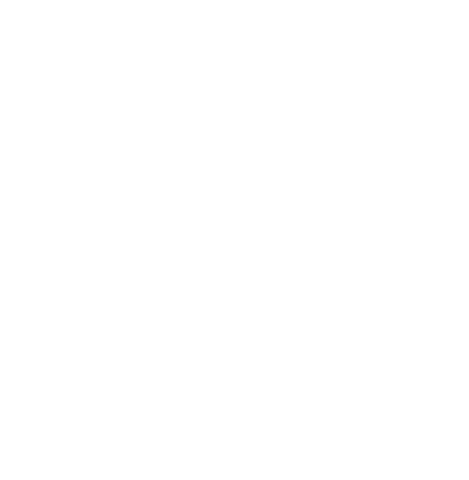 Northern Star logo on a dark background (transparent PNG)
