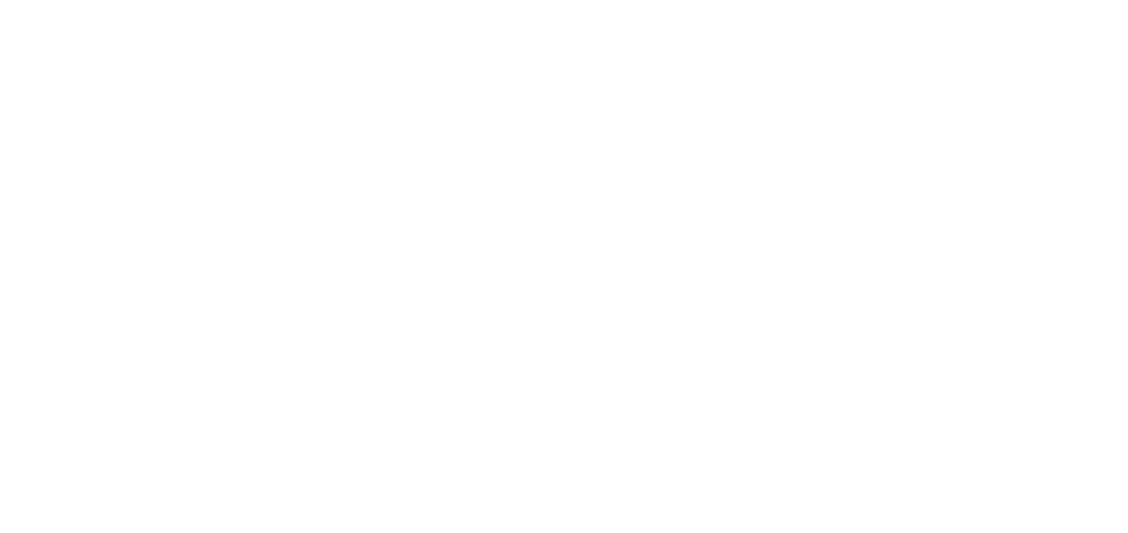 NetEase Logo für dunkle Hintergründe (transparentes PNG)