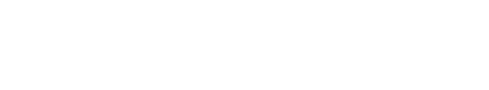NetEase logo grand pour les fonds sombres (PNG transparent)