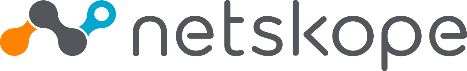 Netskope logo large (transparent PNG)