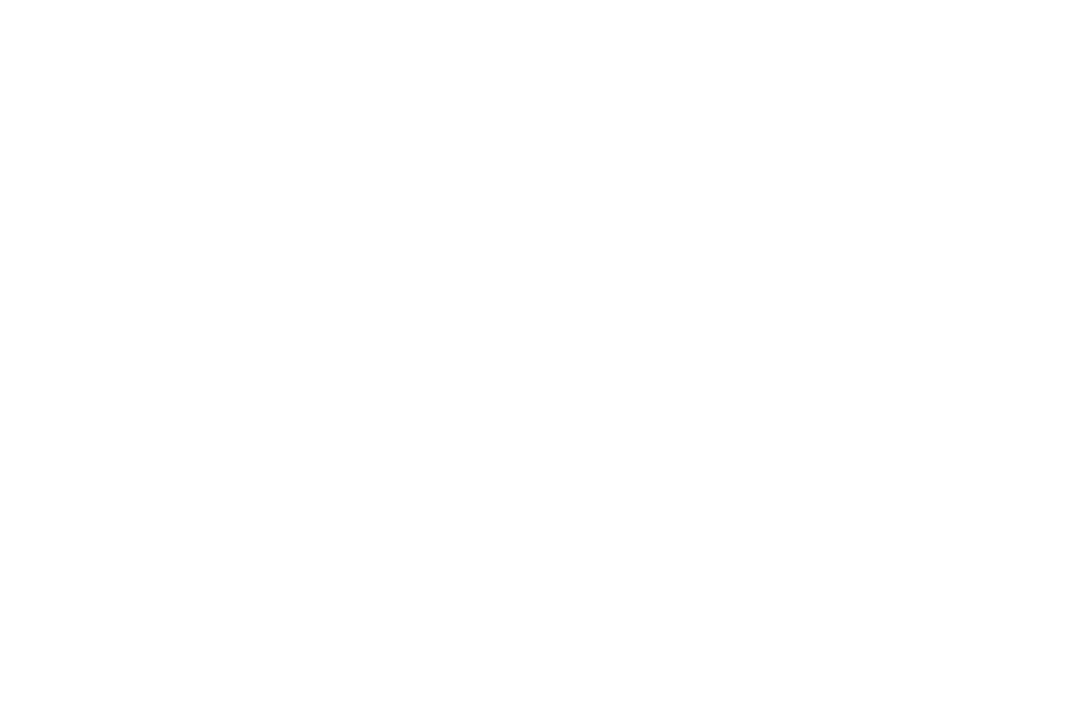 Nucor
 logo pour fonds sombres (PNG transparent)