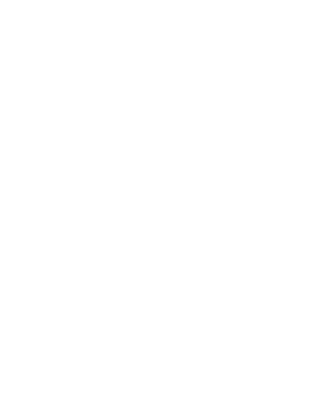 NuZee logo fulle size on a dark background (transparent PNG)
