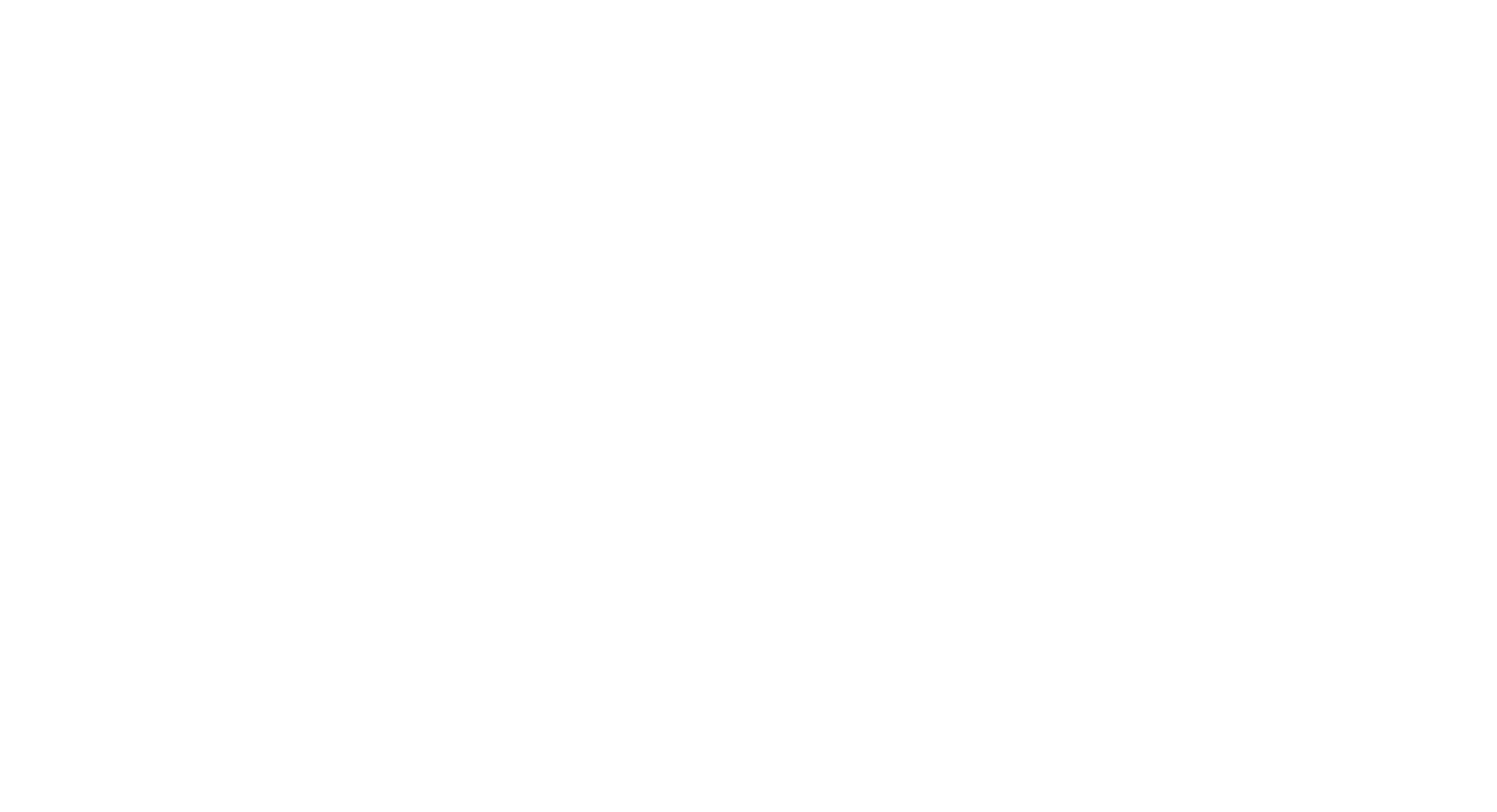 The Navigator Company
 logo fulle size on a dark background (transparent PNG)