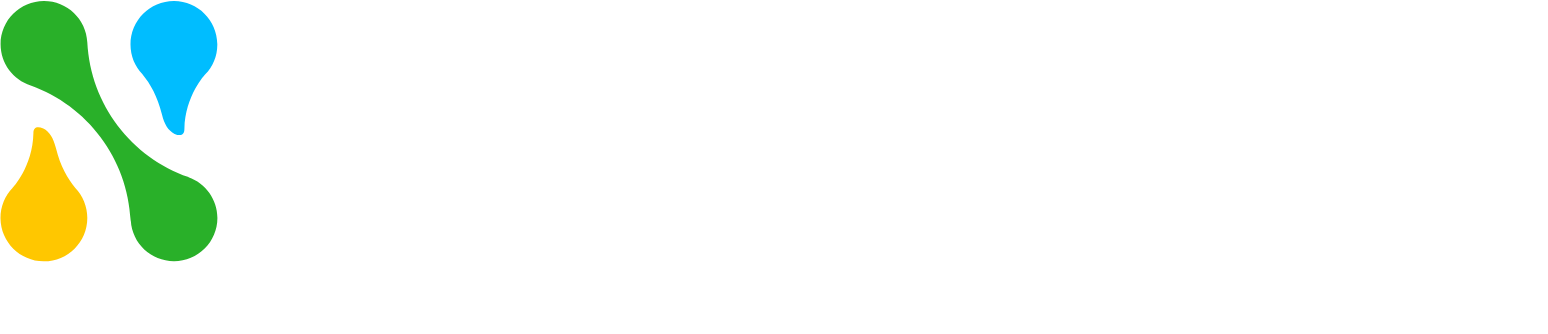 Novolog logo fulle size on a dark background (transparent PNG)