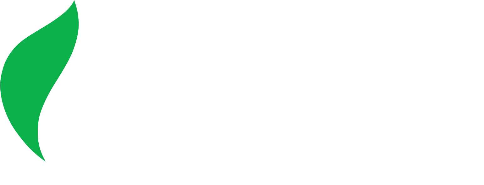 Navitas Petroleum logo grand pour les fonds sombres (PNG transparent)