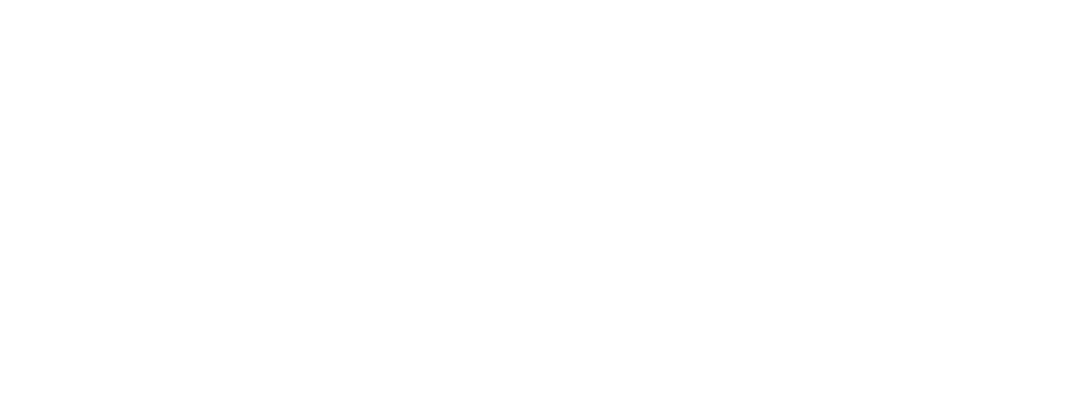 NVR logo pour fonds sombres (PNG transparent)