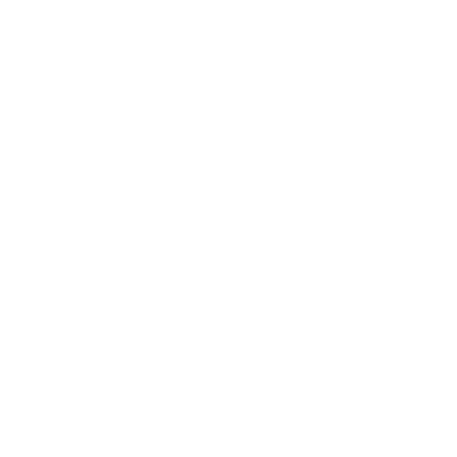 Navitas Semiconductor Logo für dunkle Hintergründe (transparentes PNG)
