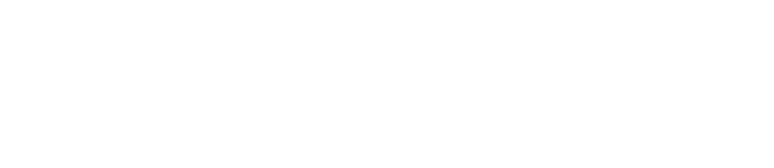 Navitas Semiconductor Logo groß für dunkle Hintergründe (transparentes PNG)