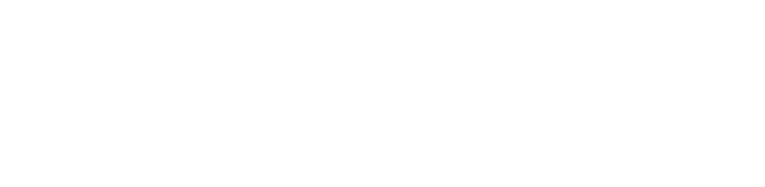 newcleo plc logo fulle size on a dark background (transparent PNG)