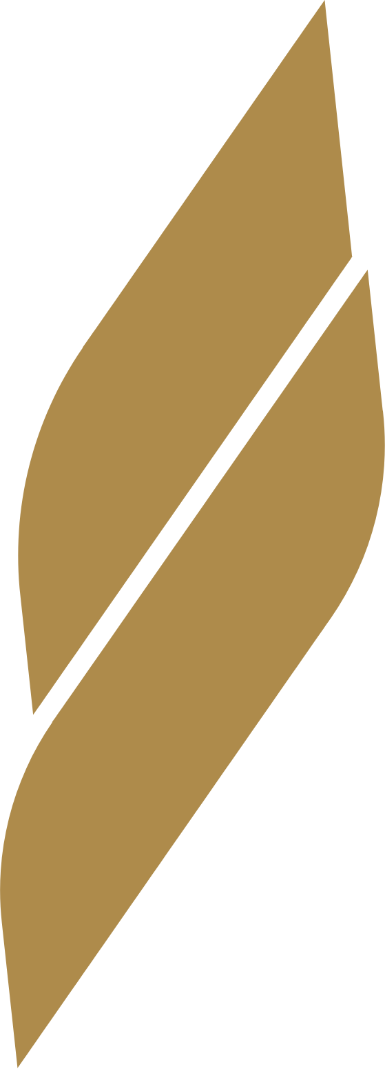 NWTN Inc. Logo (transparentes PNG)