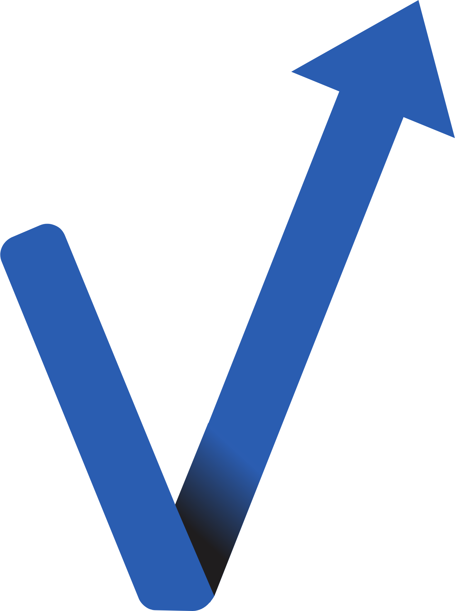 NextVision Stabilized Systems logo (transparent PNG)