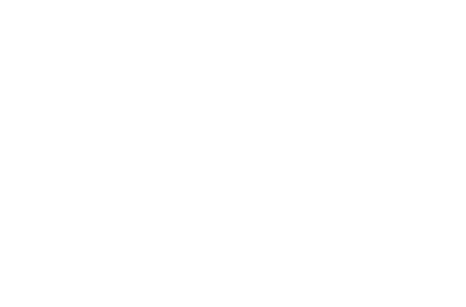 Grupo Aeroportuario Centro Norte
 logo on a dark background (transparent PNG)