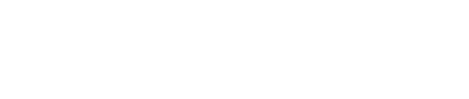 PageGroup logo fulle size on a dark background (transparent PNG)