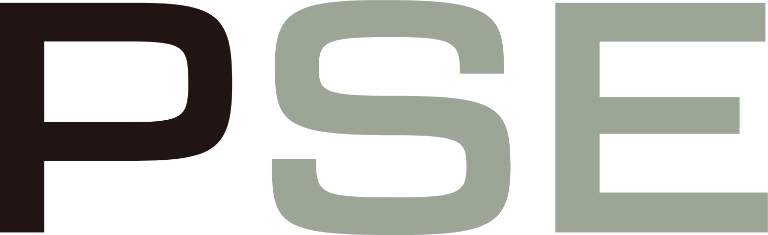 Porsche SE logo (transparent PNG)