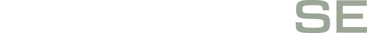 Porsche SE logo fulle size on a dark background (transparent PNG)