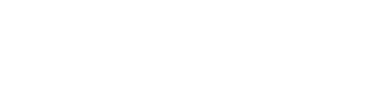 Paisalo Digital
 Logo groß für dunkle Hintergründe (transparentes PNG)