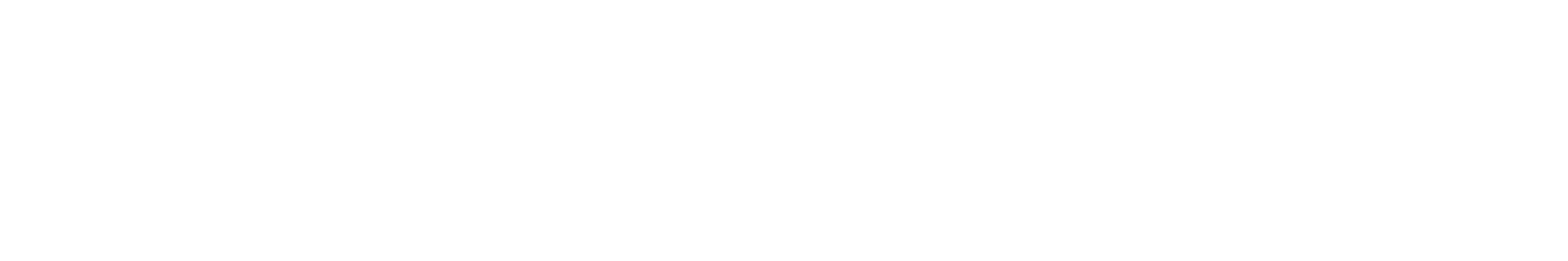 Patrick Industries Logo groß für dunkle Hintergründe (transparentes PNG)