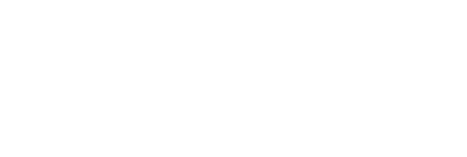 ProCredit Logo groß für dunkle Hintergründe (transparentes PNG)