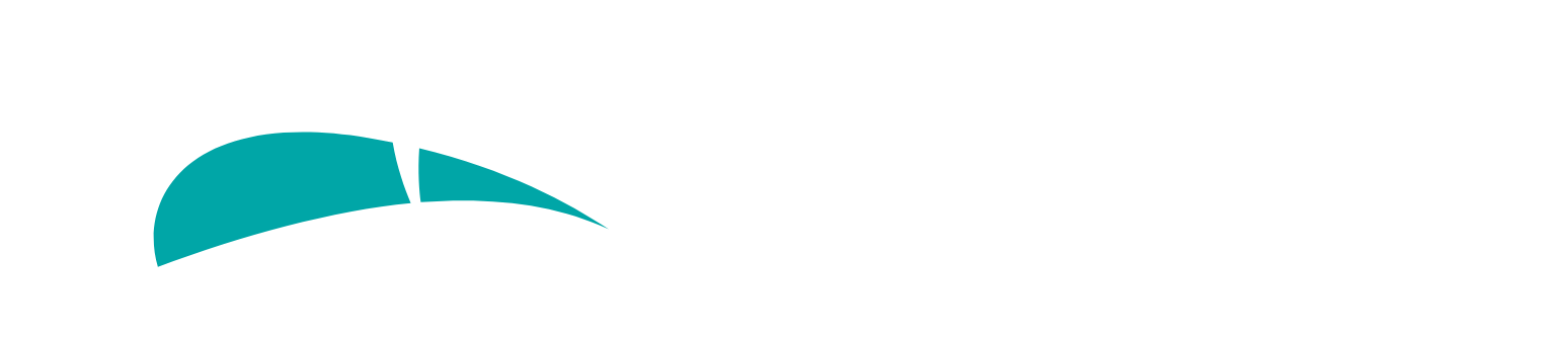 Pegasystems logo fulle size on a dark background (transparent PNG)