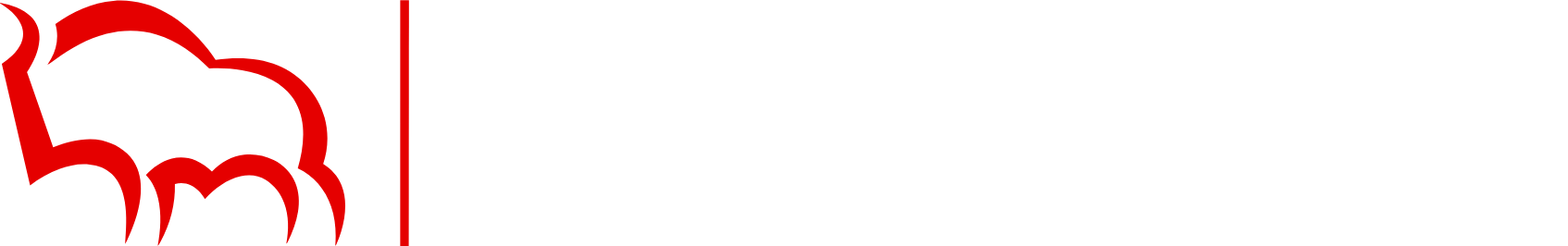 Bank Pekao (Bank Polska Kasa Opieki) logo fulle size on a dark background (transparent PNG)