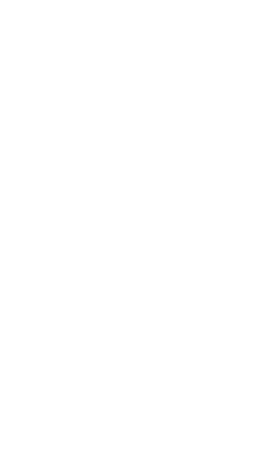 Professional Holding Logo für dunkle Hintergründe (transparentes PNG)