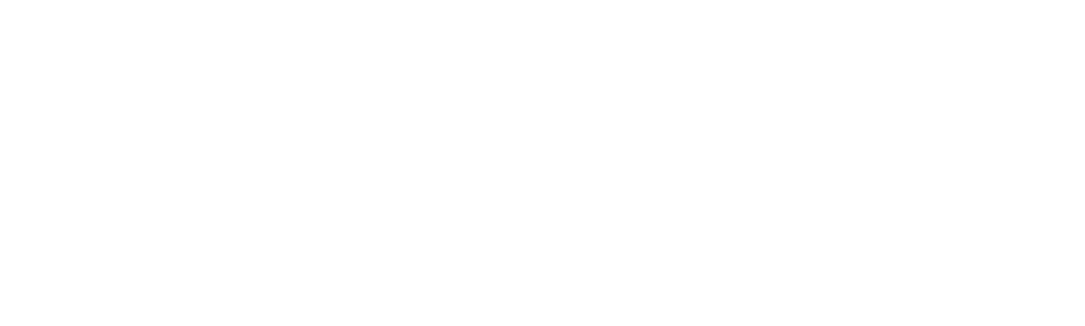 Professional Holding Logo groß für dunkle Hintergründe (transparentes PNG)