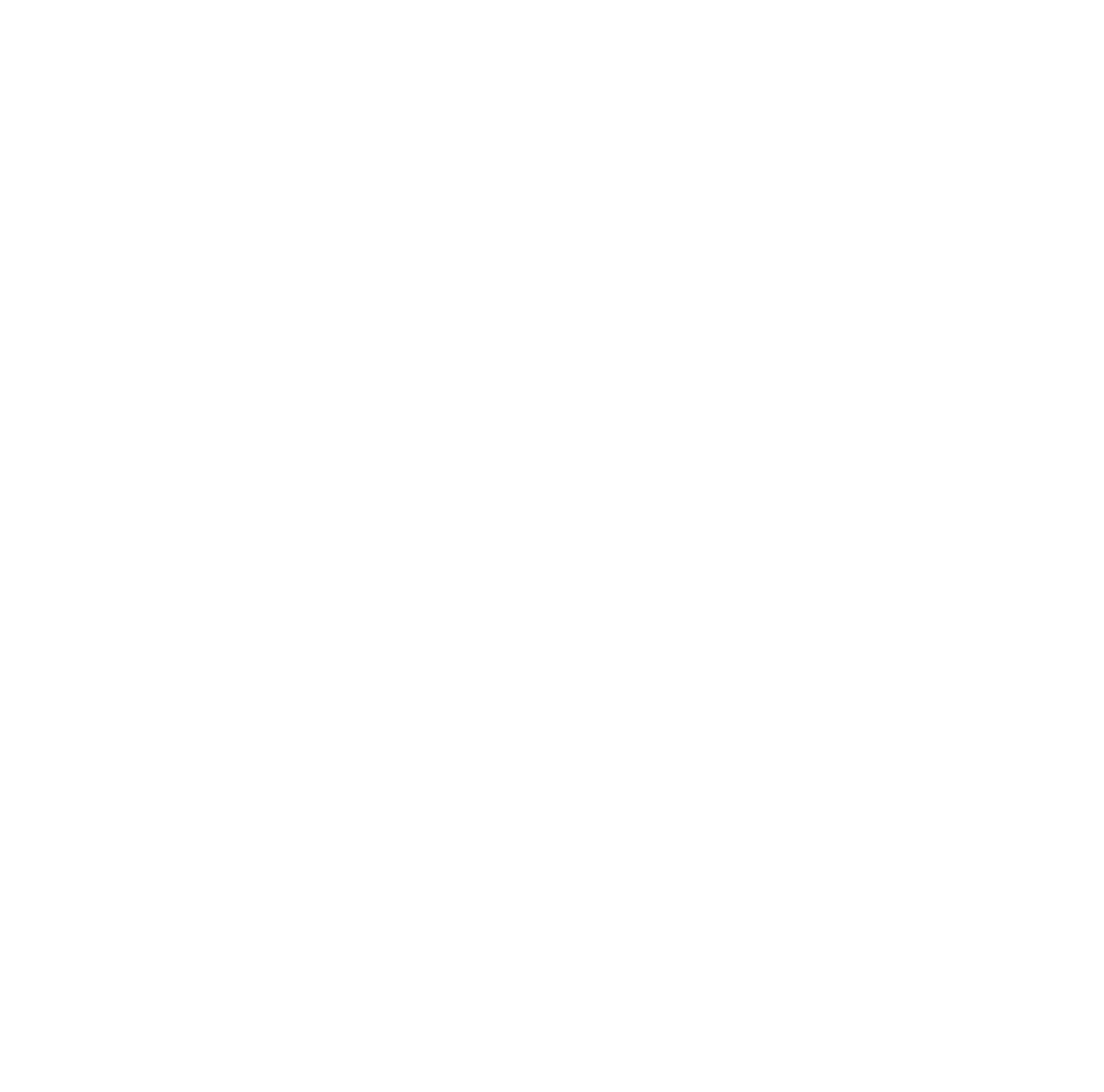 Prime Focus Logo für dunkle Hintergründe (transparentes PNG)