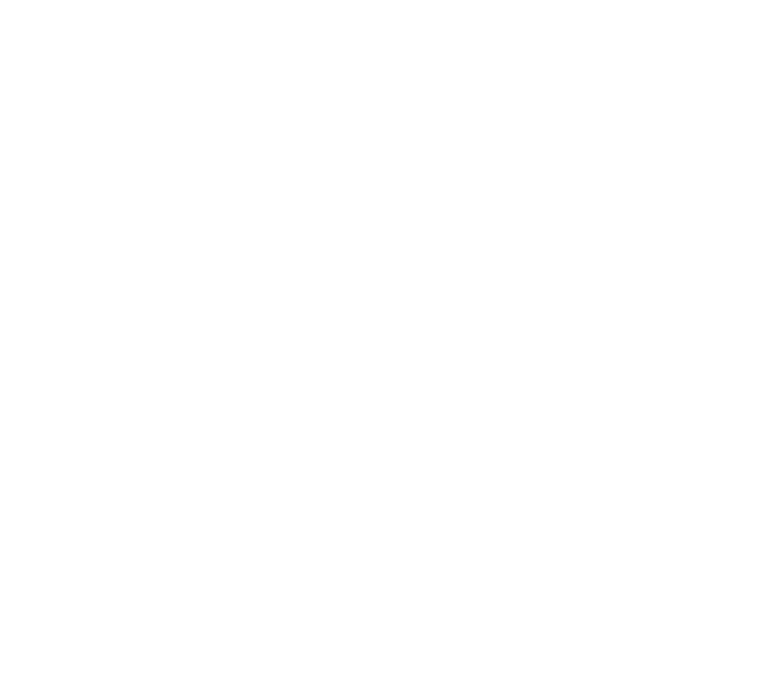 Prime Focus Logo groß für dunkle Hintergründe (transparentes PNG)