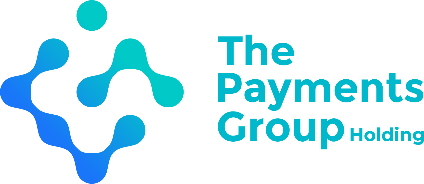 The Payments Group Holding logo large (transparent PNG)