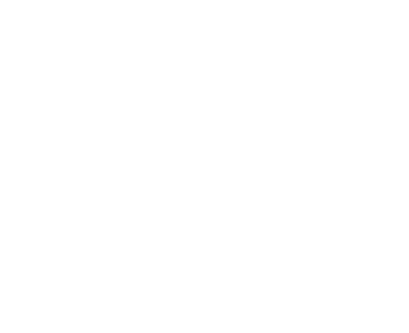 Pegasus Airlines
 logo on a dark background (transparent PNG)