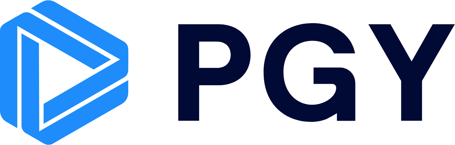 Pagaya Technologies logo large (transparent PNG)