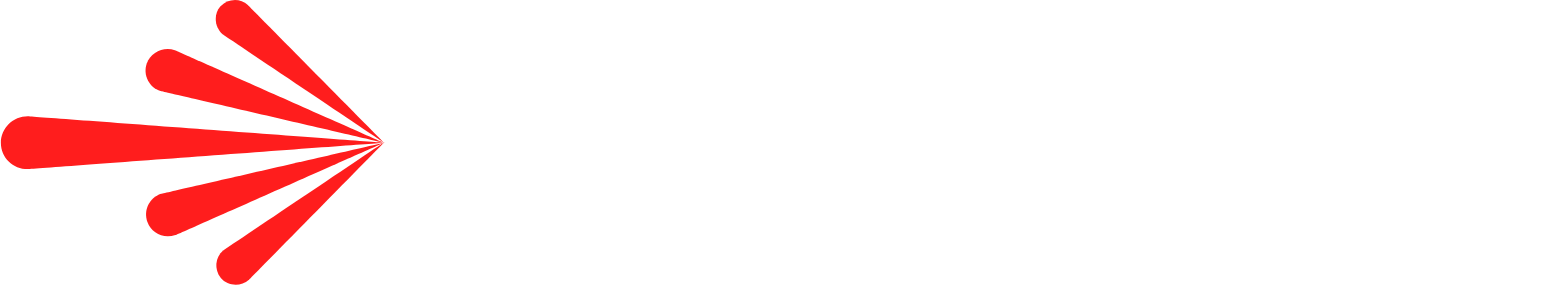 PHINIA Logo groß für dunkle Hintergründe (transparentes PNG)