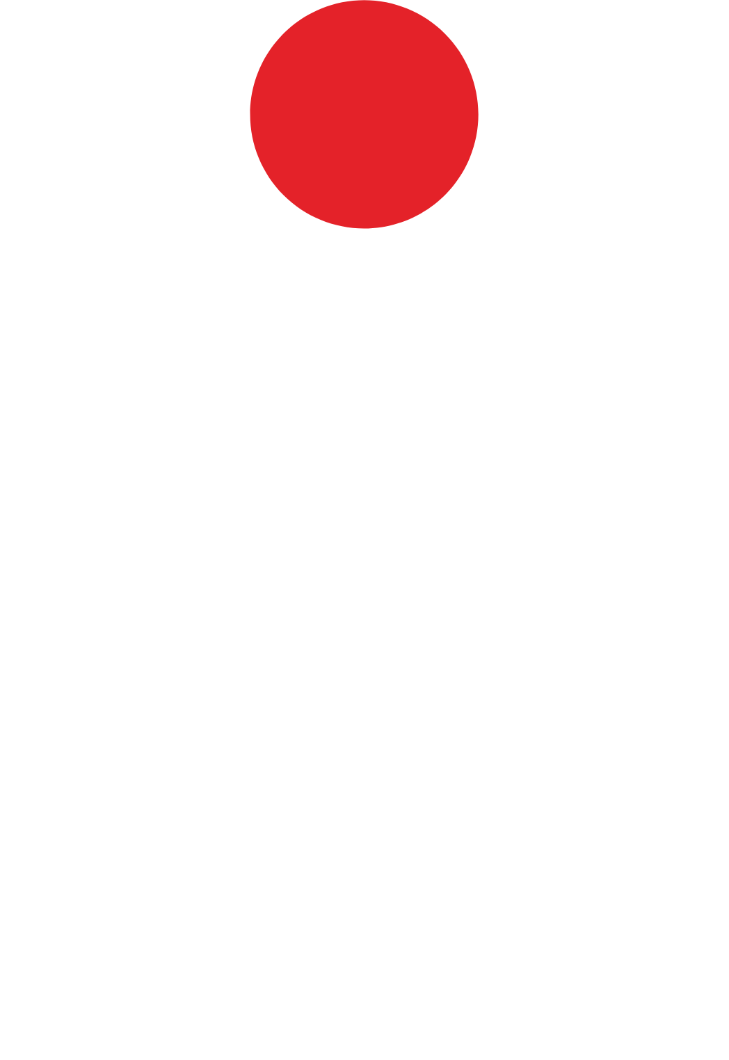PKO Bank Polski
 logo on a dark background (transparent PNG)
