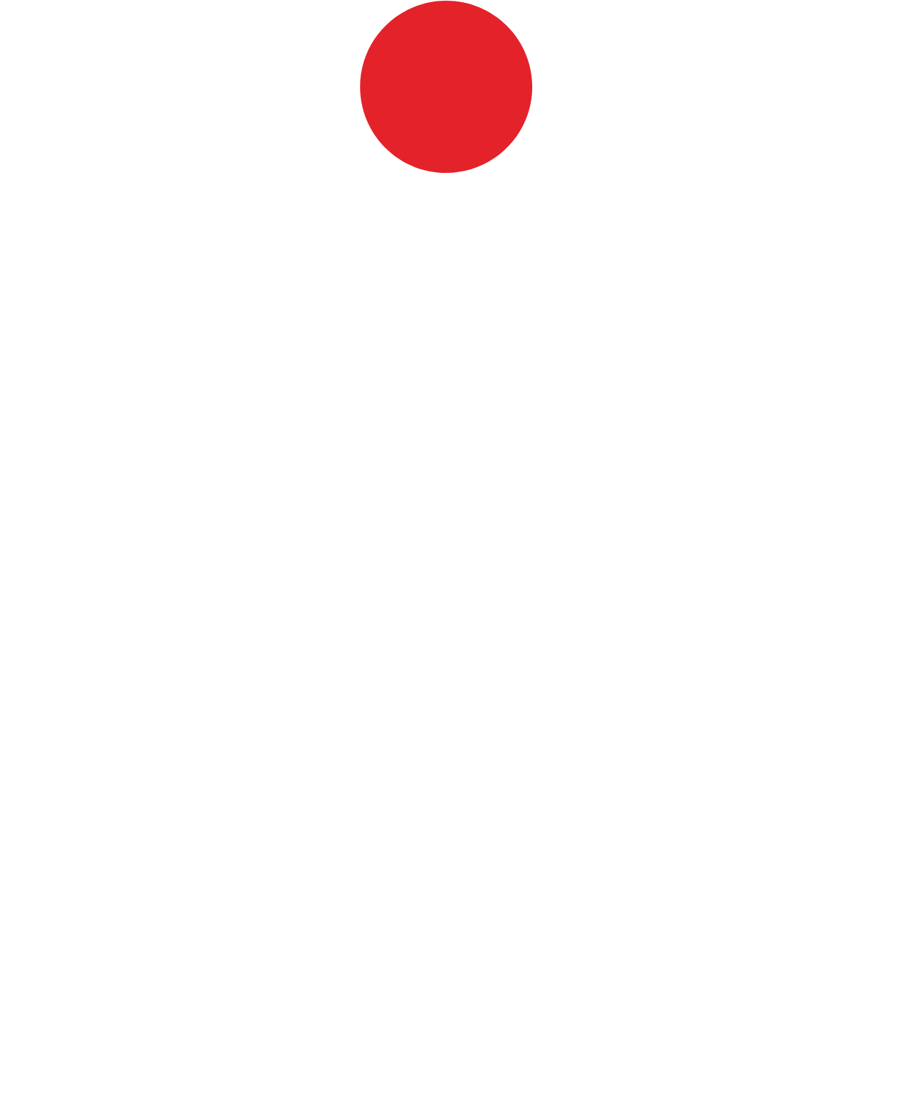 PKO Bank Polski
 logo fulle size on a dark background (transparent PNG)