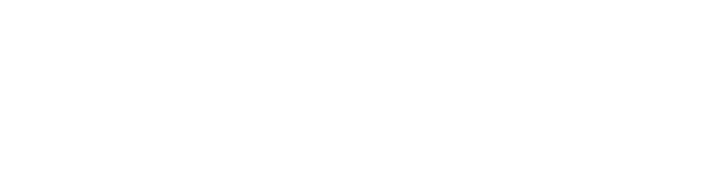 Fly Play logo on a dark background (transparent PNG)