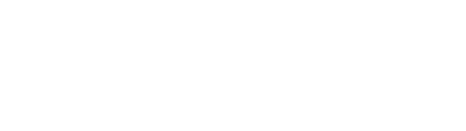 Pluxee logo grand pour les fonds sombres (PNG transparent)