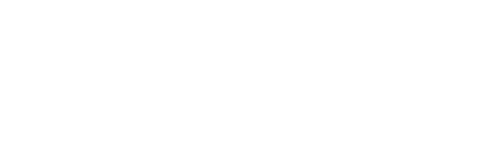 Pinnacle Financial Partners
 logo fulle size on a dark background (transparent PNG)