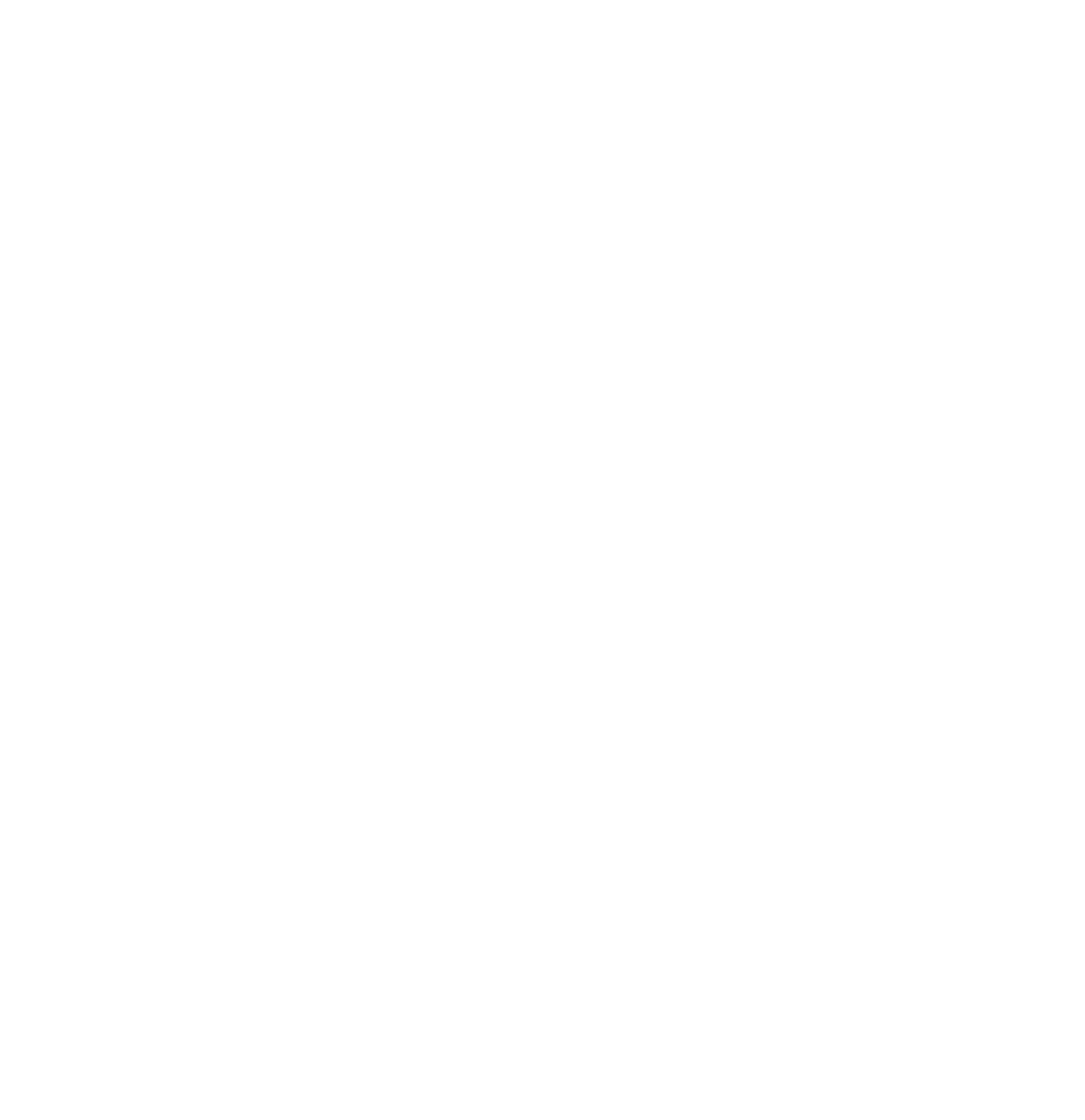 PetroVietnam Power Logo groß für dunkle Hintergründe (transparentes PNG)