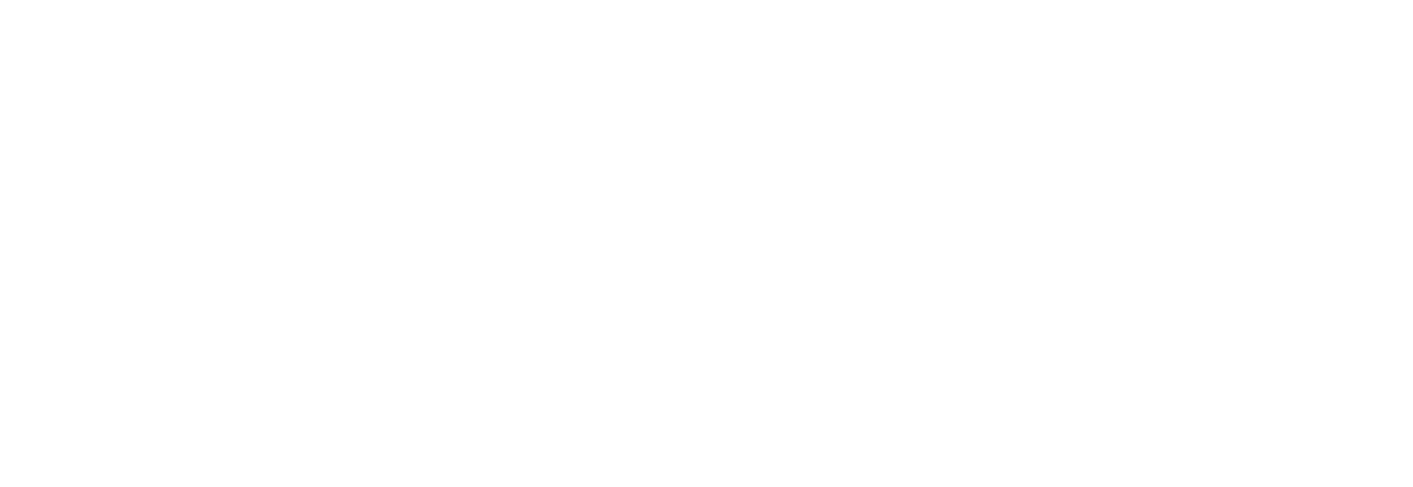 Power Integrations
 logo fulle size on a dark background (transparent PNG)