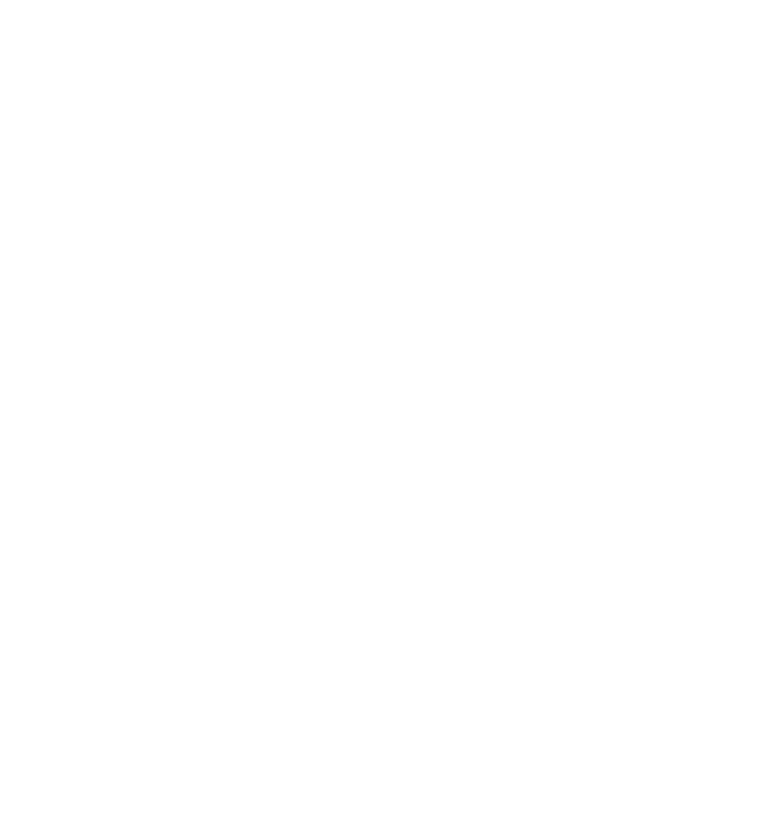 Praemium Limited logo pour fonds sombres (PNG transparent)
