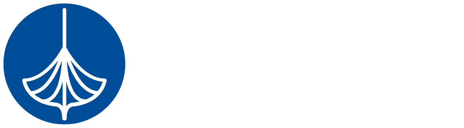 Prosafe SE Logo groß für dunkle Hintergründe (transparentes PNG)