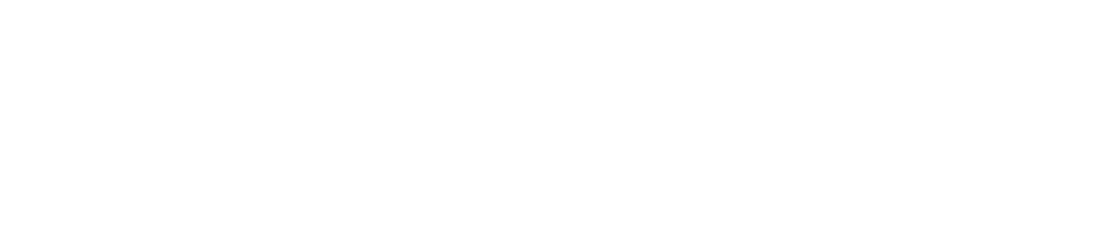 Polestar Logo groß für dunkle Hintergründe (transparentes PNG)